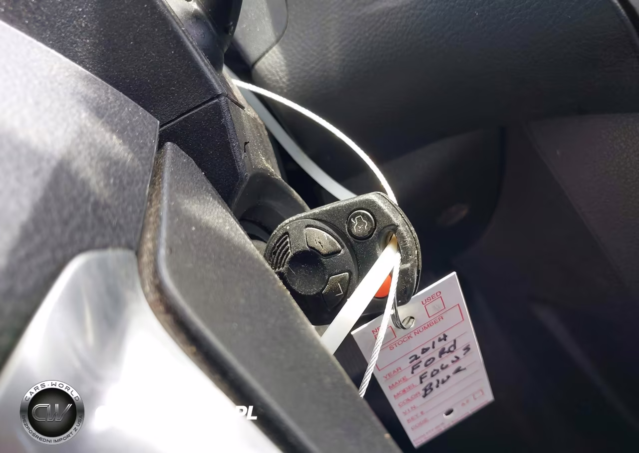 2014 Ford Focus Se VIN:1FADP3F28EL348731 - 11
