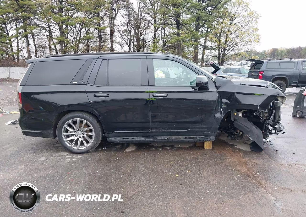 2022 Cadillac Escalade 4Wd Sport Platinum VIN:1GYS4GKL0NR146179 - 13