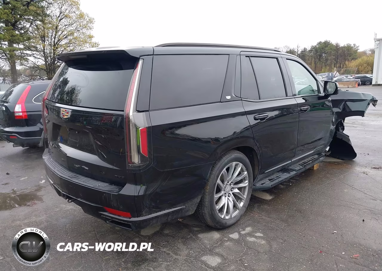 2022 Cadillac Escalade 4Wd Sport Platinum VIN:1GYS4GKL0NR146179 - 4