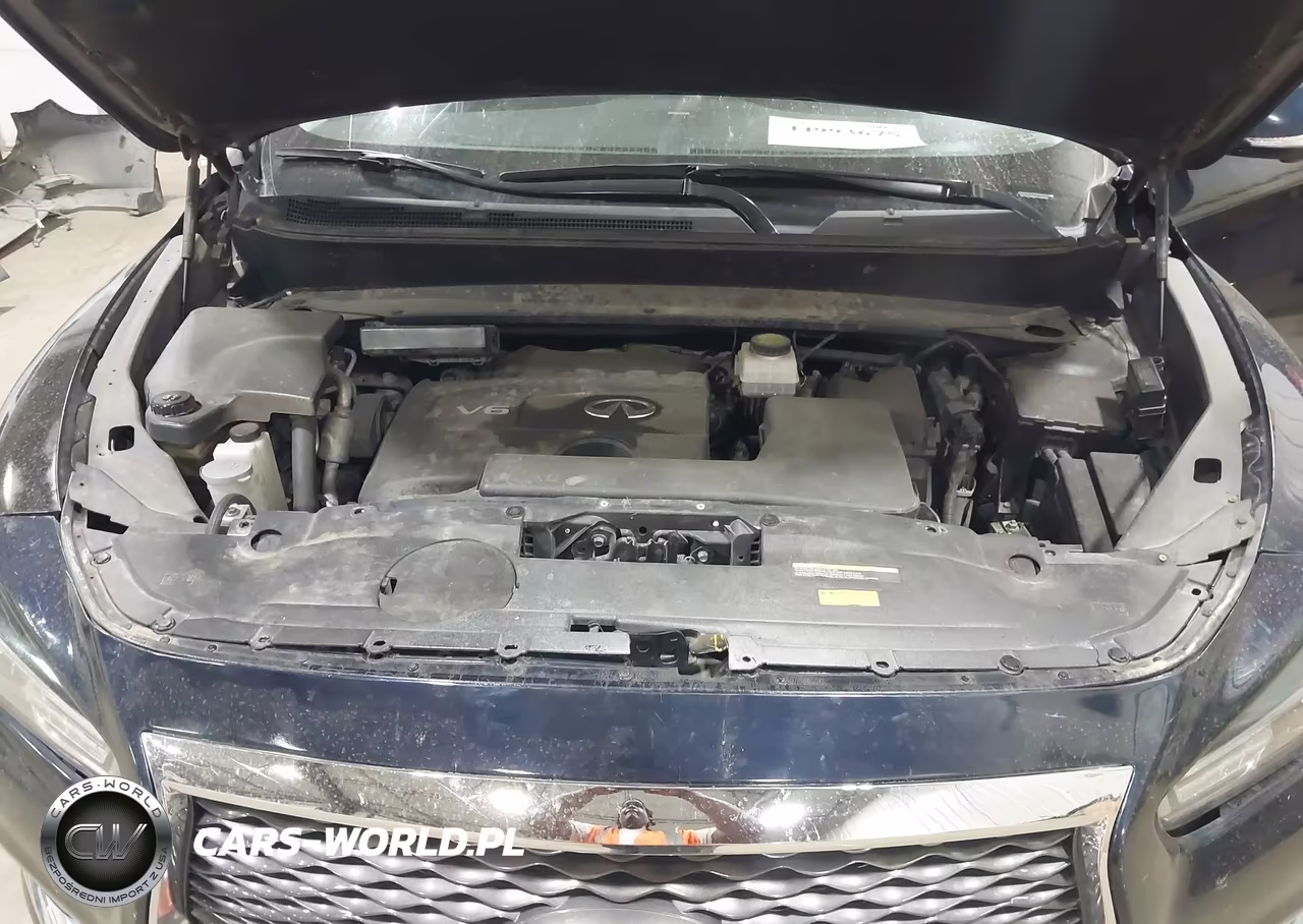 INFINITI QX60 LUXE VIN:5N1DL0MM3KC525623 - 10