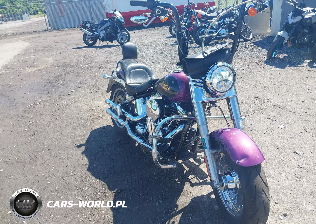2011 Harley-Davidson Flstf