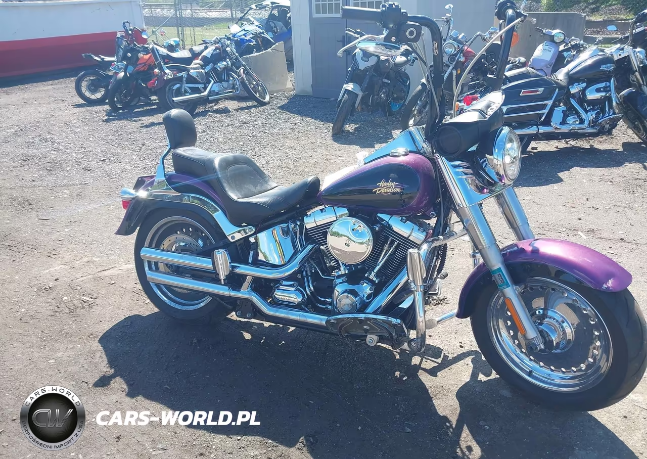 2011 Harley-Davidson Flstf VIN:1HD1BX516BB021501 - 13