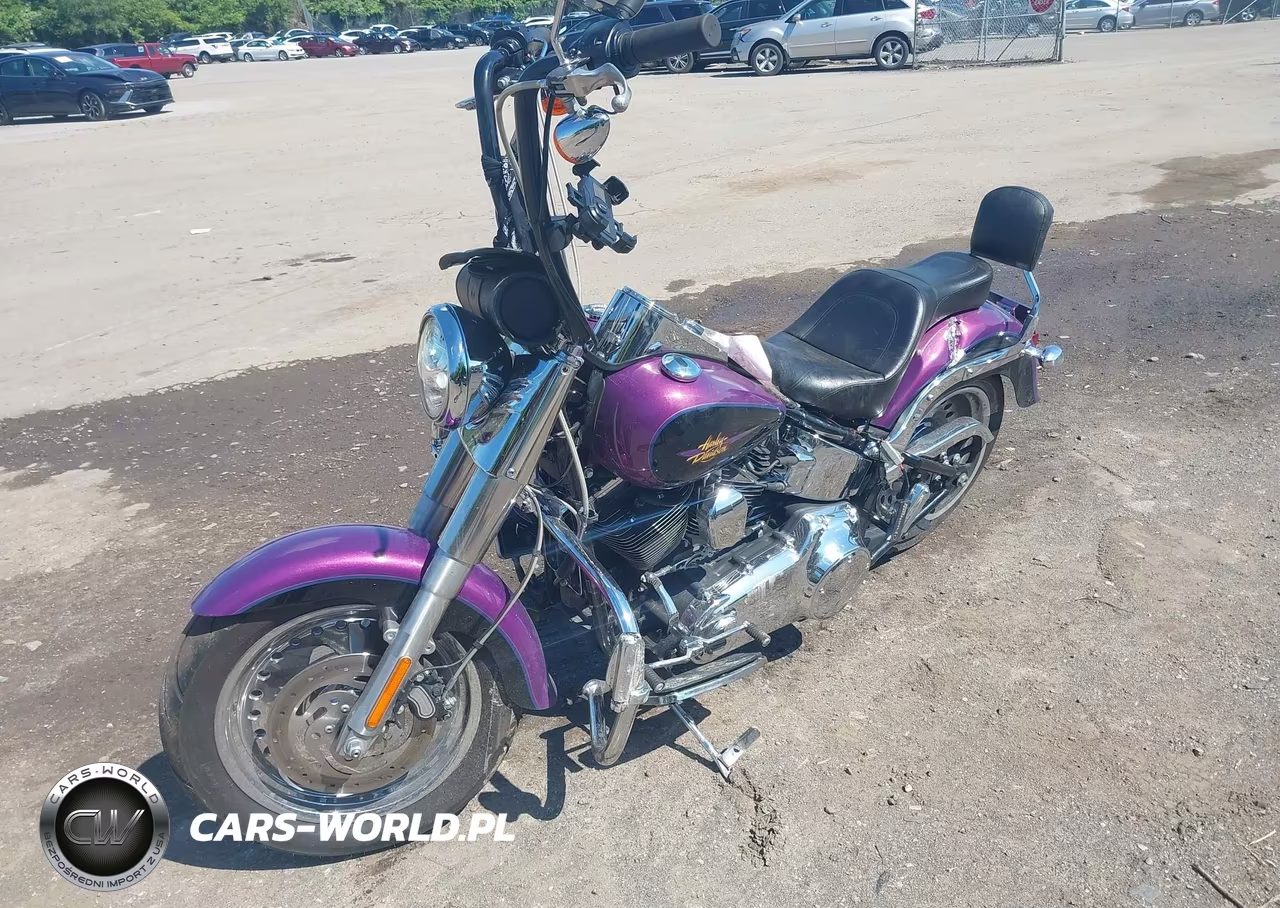 2011 Harley-Davidson Flstf VIN:1HD1BX516BB021501 - 2