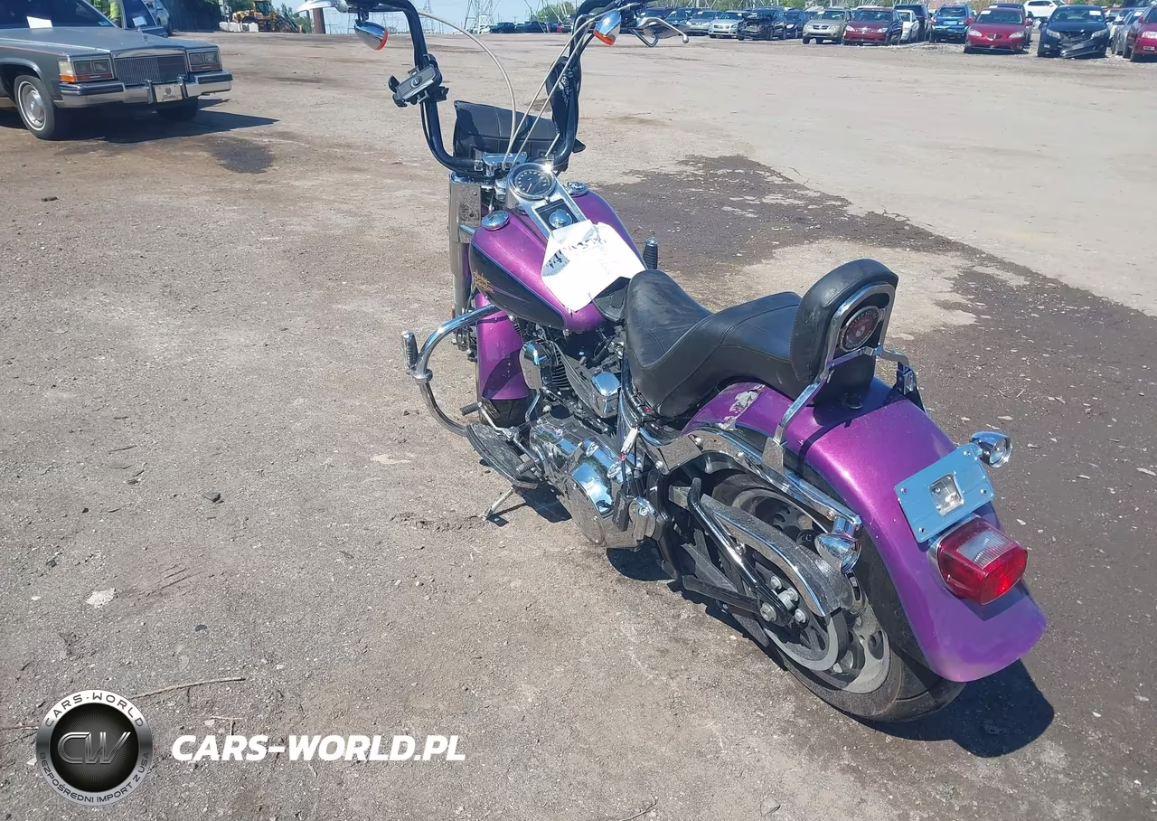 2011 Harley-Davidson Flstf VIN:1HD1BX516BB021501 - 3