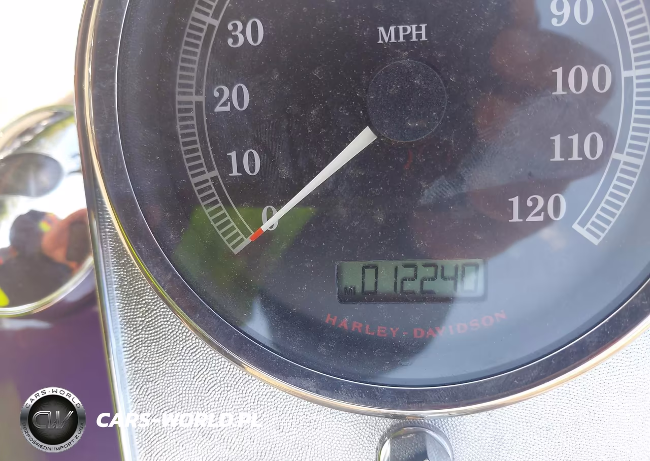2011 Harley-Davidson Flstf VIN:1HD1BX516BB021501 - 7