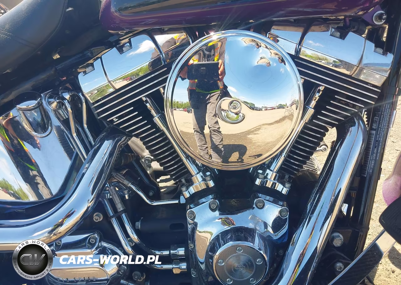 2011 Harley-Davidson Flstf VIN:1HD1BX516BB021501 - 8