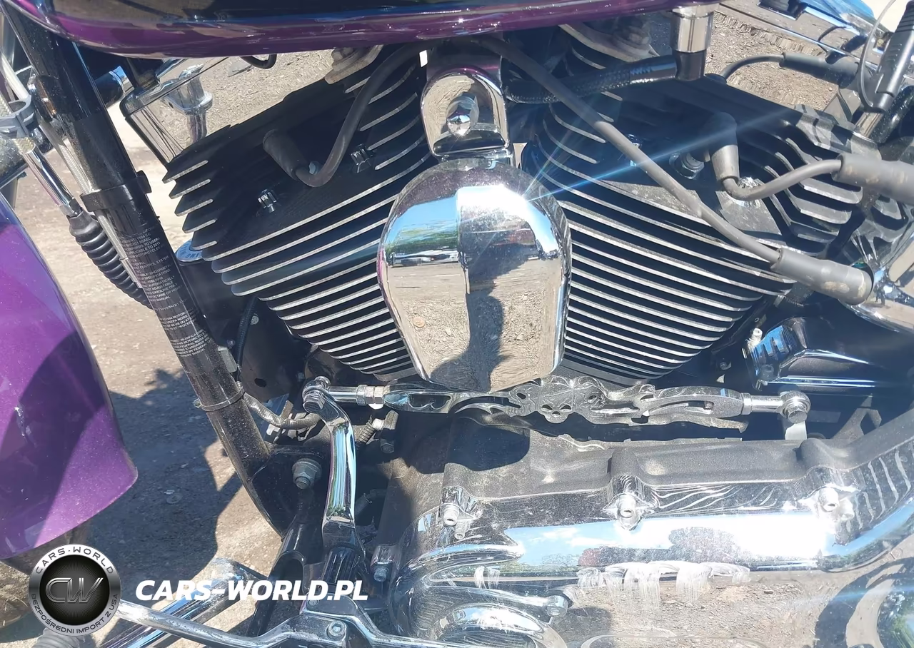 2011 Harley-Davidson Flstf VIN:1HD1BX516BB021501 - 9