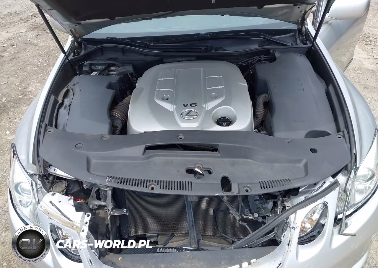 2006 Lexus Gs 300 VIN:JTHBH96S565004358 - 10