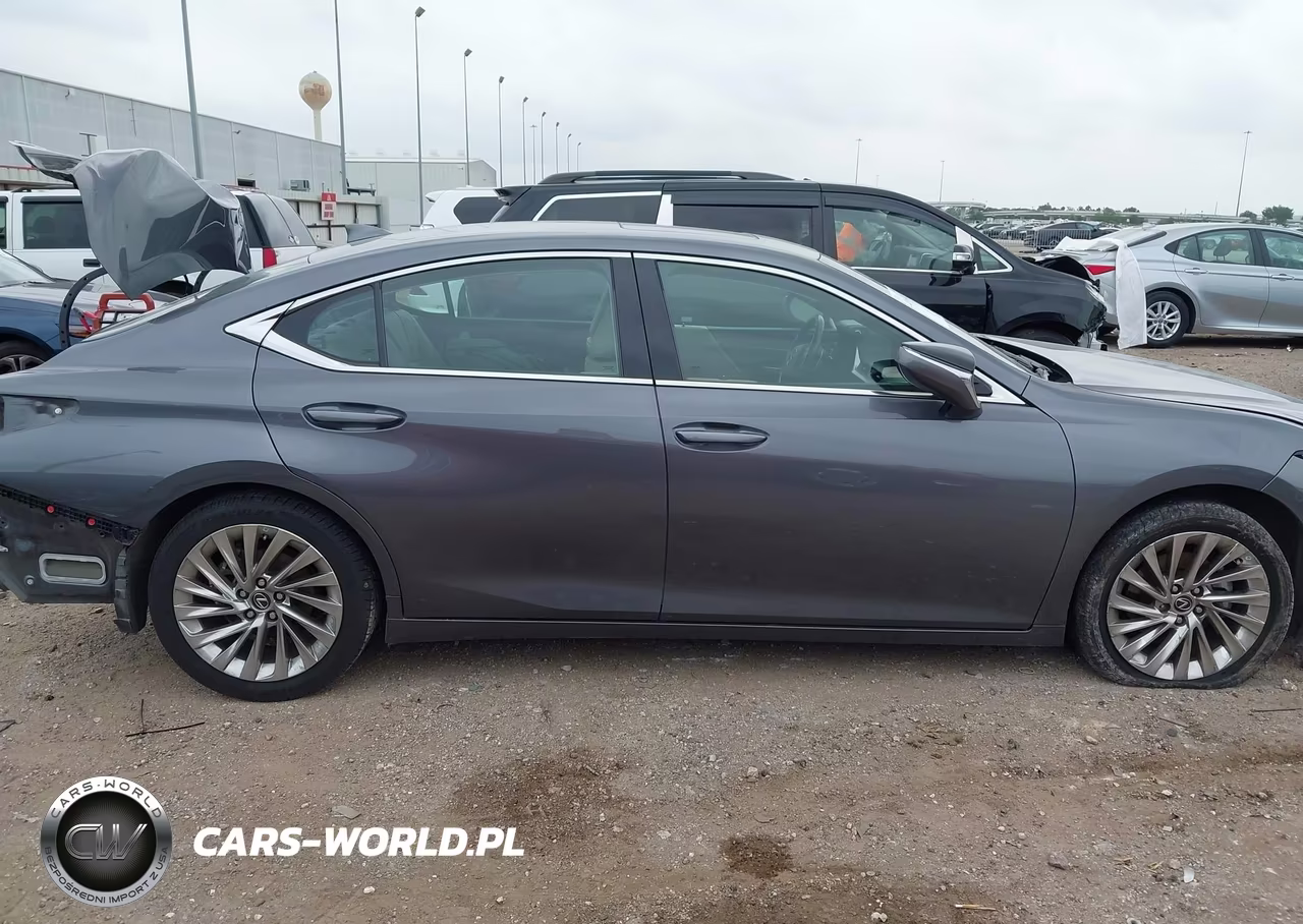 2020 Lexus Es 350 Luxury VIN:58AEZ1B1XLU053412 - 14