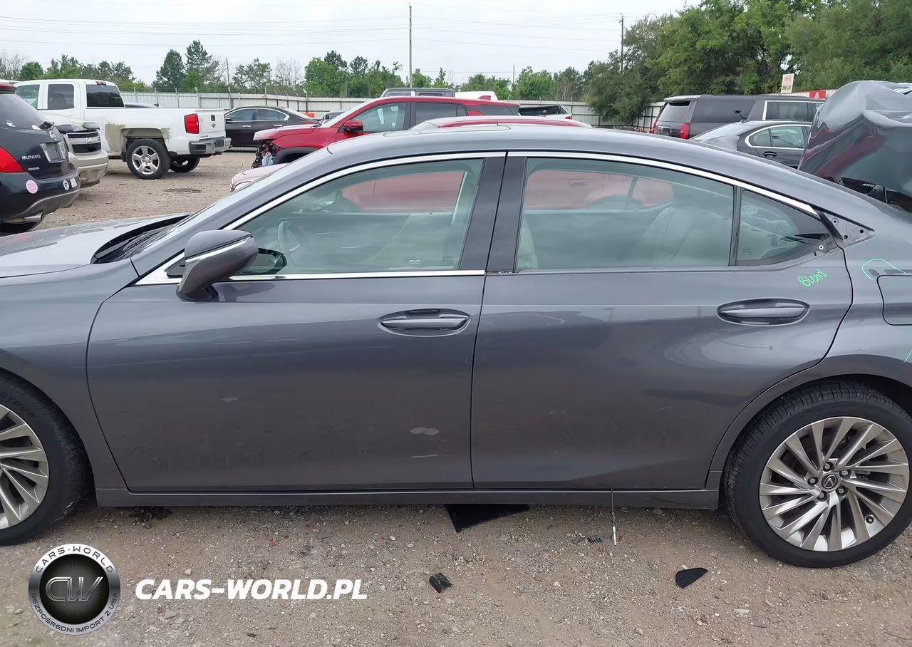 2020 Lexus Es 350 Luxury VIN:58AEZ1B1XLU053412 - 15