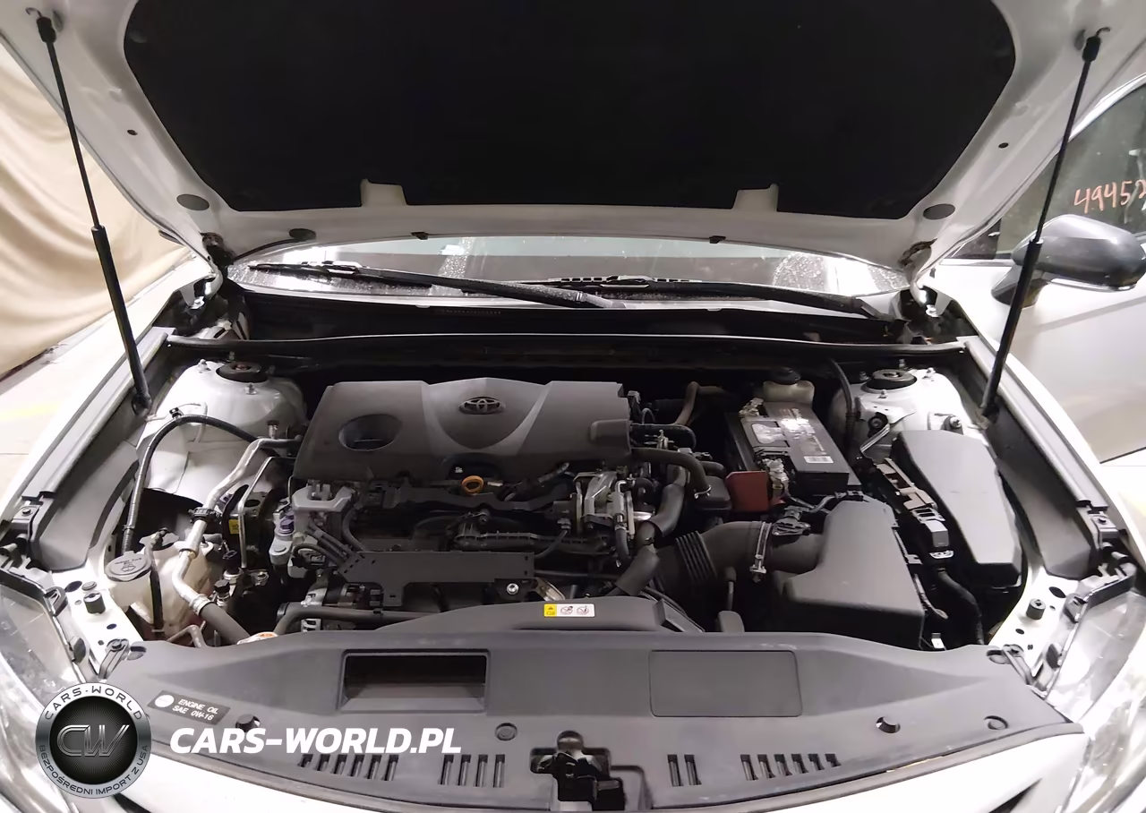2019 Toyota Camry Xse VIN:4T1B61HK0KU843335 - 10