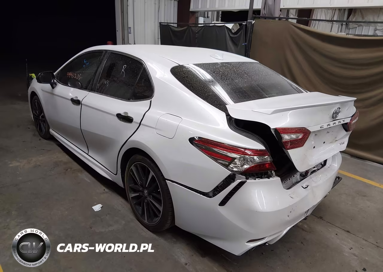 2019 Toyota Camry Xse VIN:4T1B61HK0KU843335 - 3