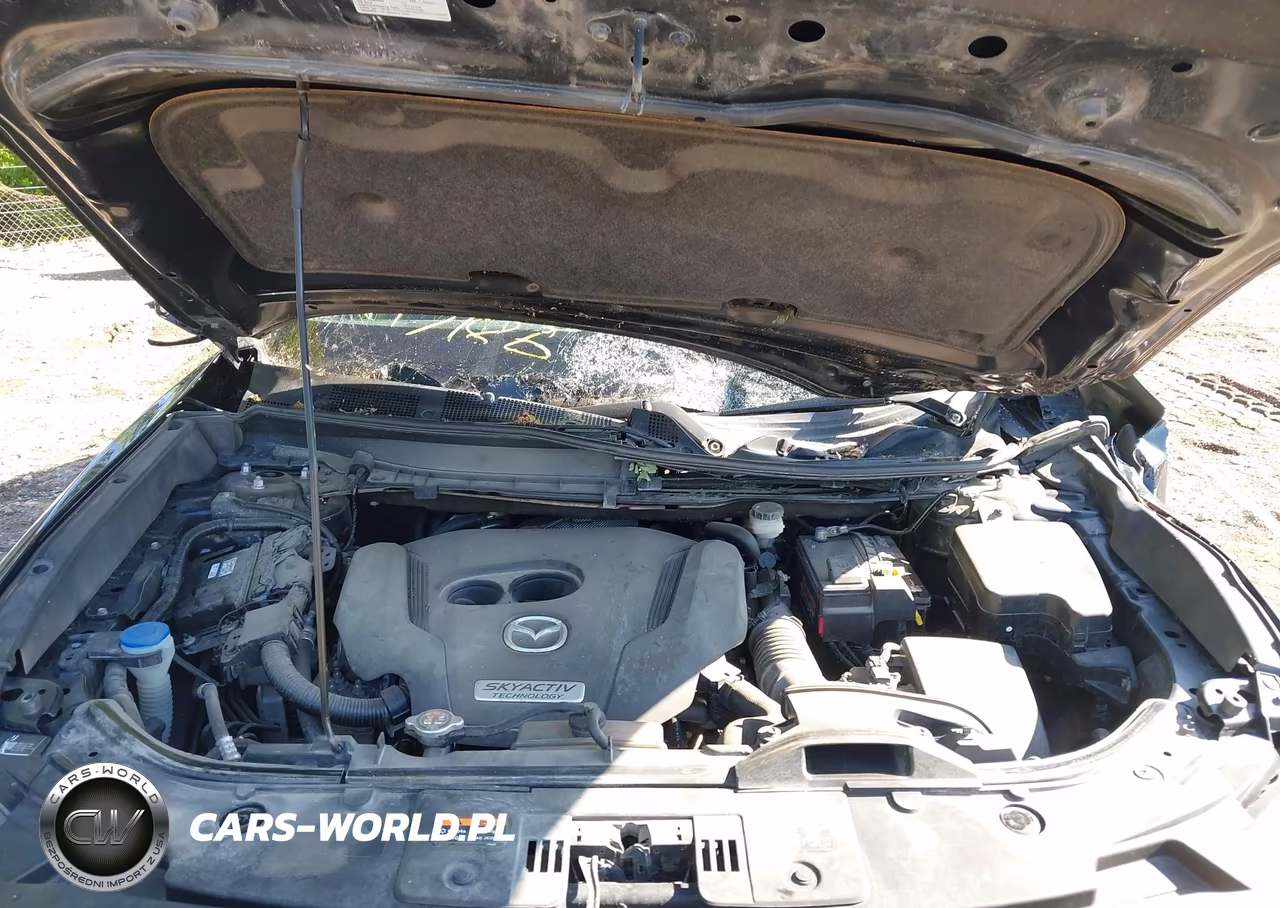 2017 Mazda Cx-9 Grand Touring VIN:JM3TCBDY6H0131727 - 10