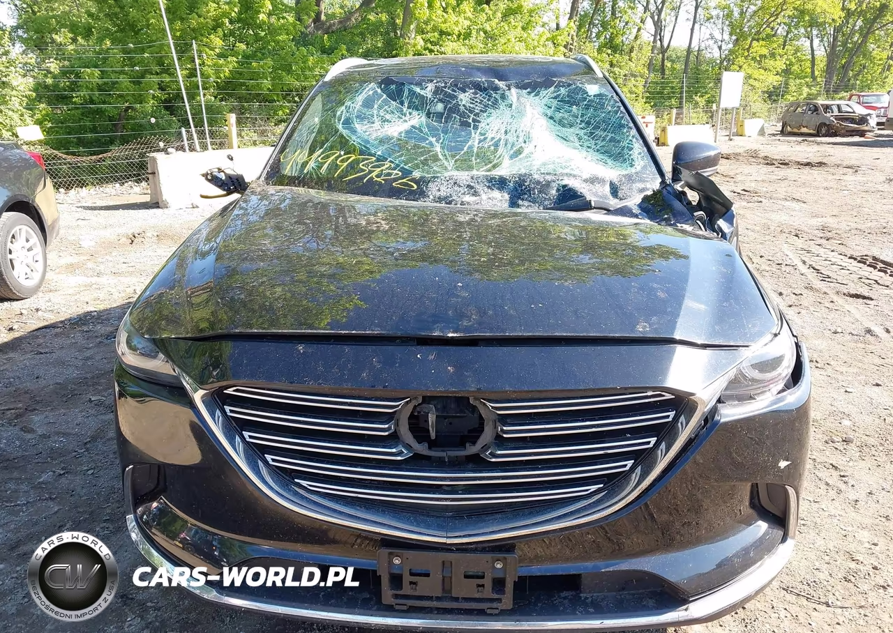 2017 Mazda Cx-9 Grand Touring VIN:JM3TCBDY6H0131727 - 12