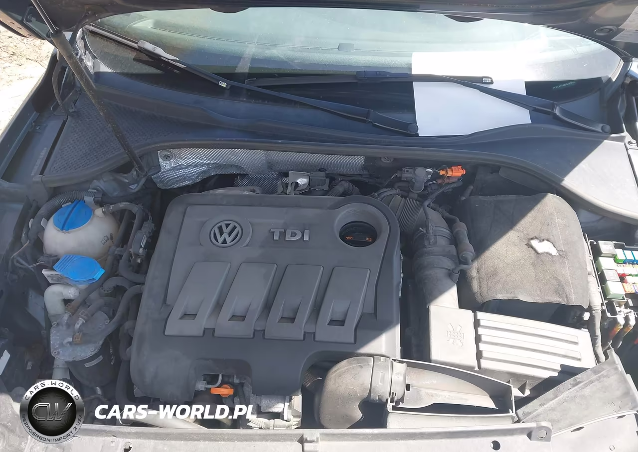 2013 Volkswagen Passat 2.0L Tdi Sel Premium VIN:1VWCN7A30DC137344 - 10