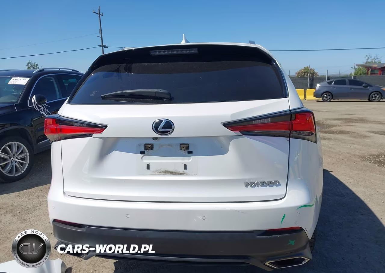 2020 Lexus Nx 300 VIN:JTJGARDZ0L5007804 - 17