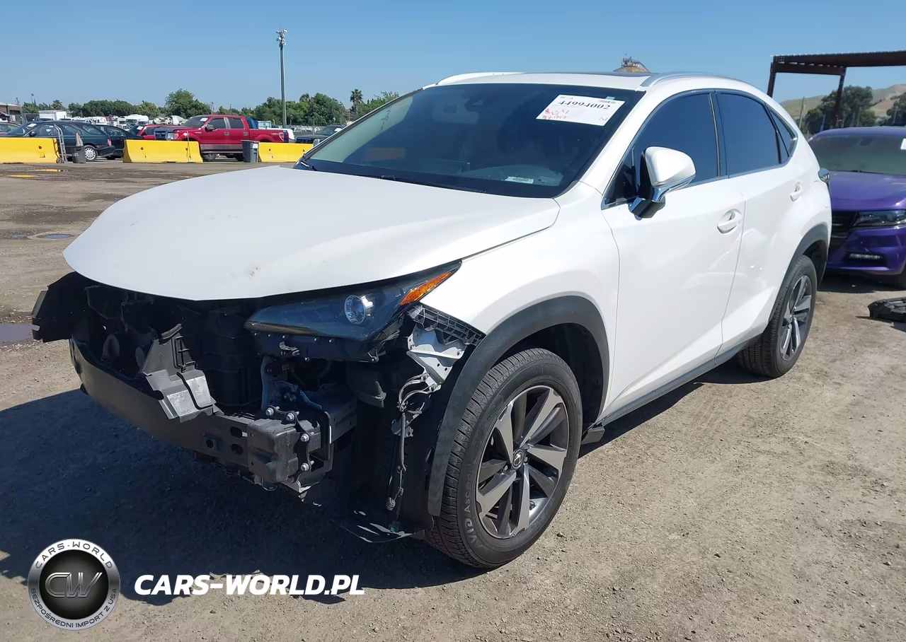 2020 Lexus Nx 300 VIN:JTJGARDZ0L5007804 - 2