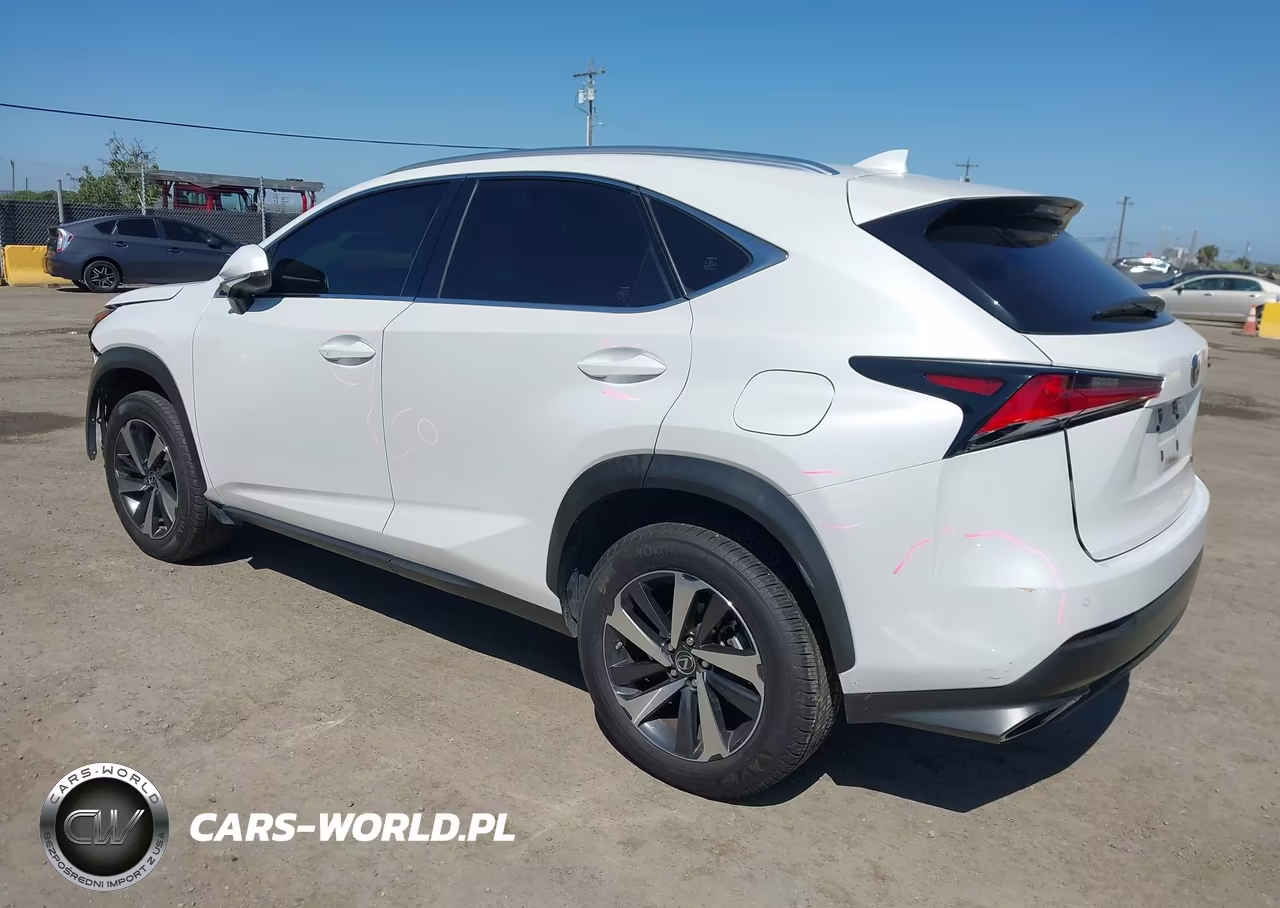2020 Lexus Nx 300 VIN:JTJGARDZ0L5007804 - 3