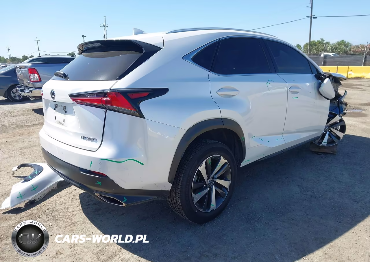2020 Lexus Nx 300 VIN:JTJGARDZ0L5007804 - 4