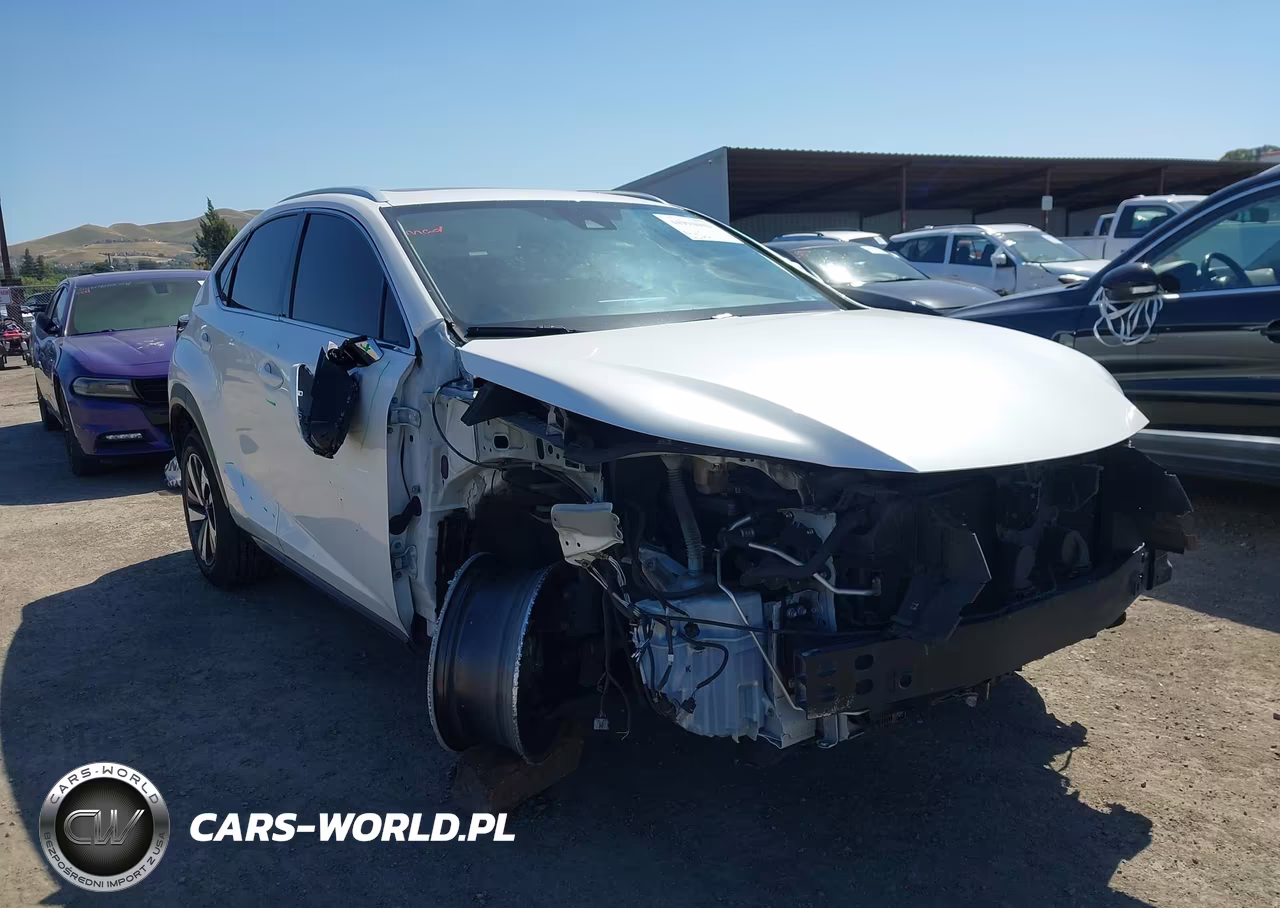 2020 Lexus Nx 300 VIN:JTJGARDZ0L5007804 - 6
