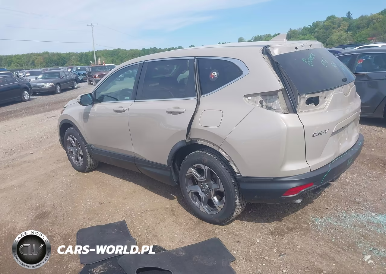 2019 Honda Cr-V Ex VIN:5J6RW2H59KL019658 - 3
