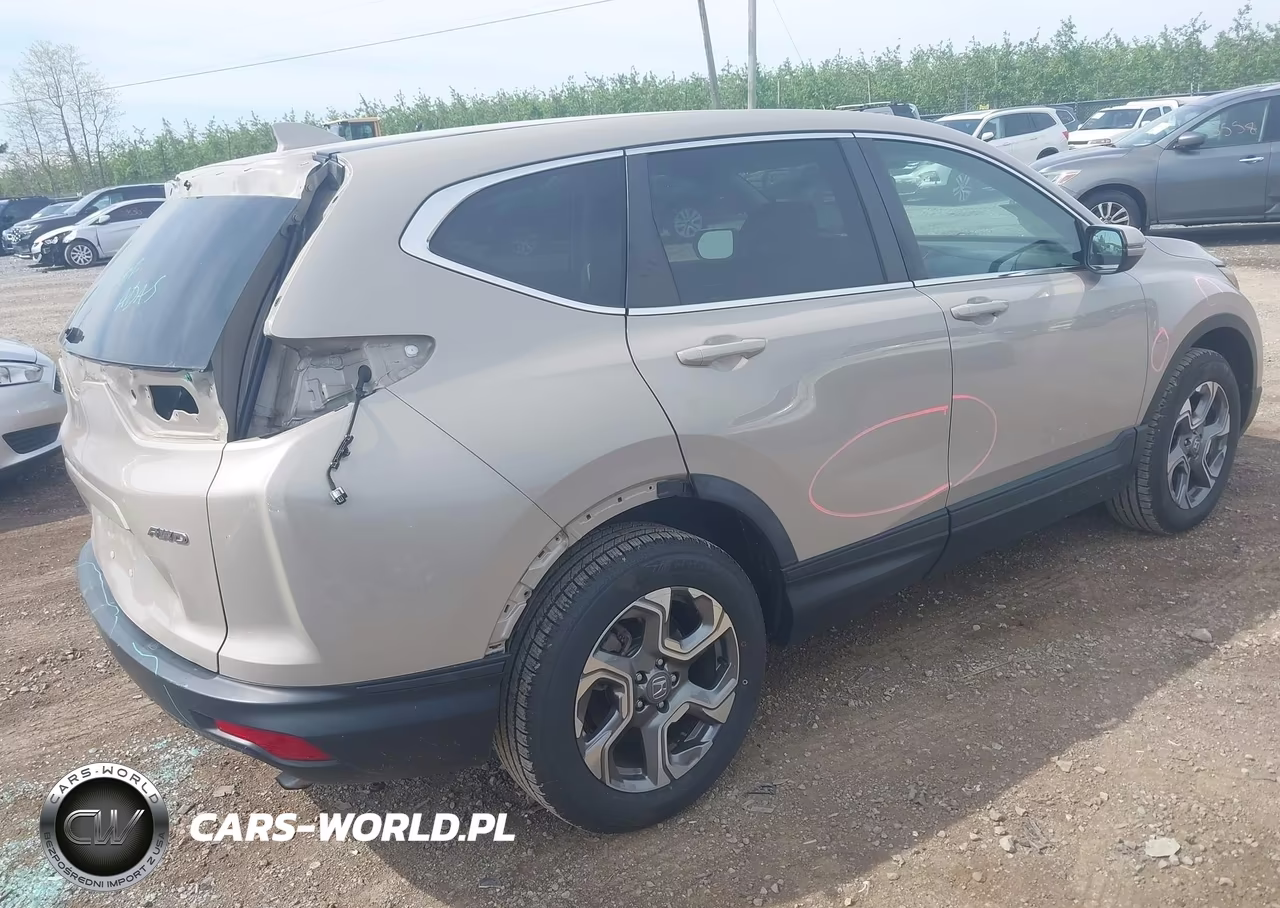 2019 Honda Cr-V Ex VIN:5J6RW2H59KL019658 - 4