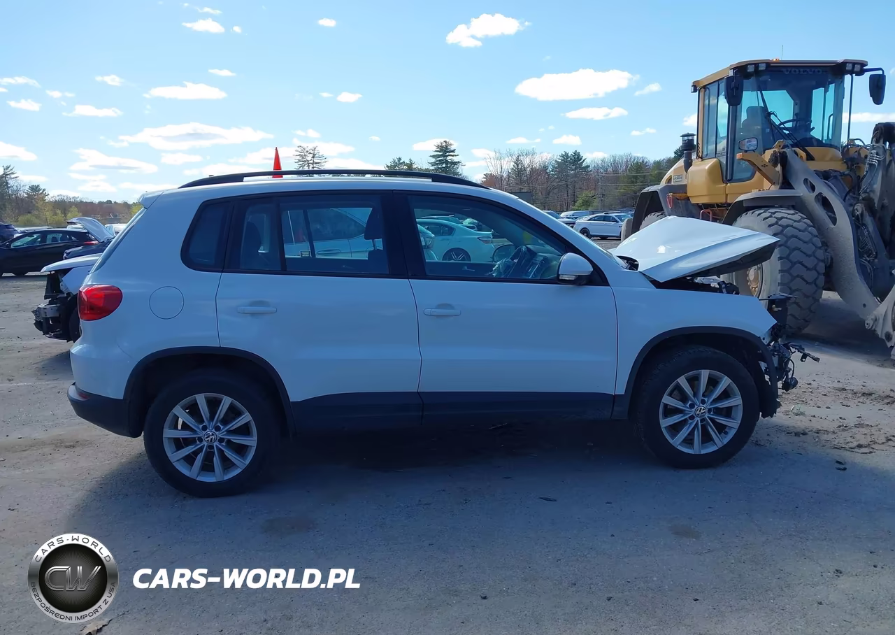 2017 Volkswagen Tiguan 2.0T-2.0T S VIN:WVGBV7AXXHK043075 - 13