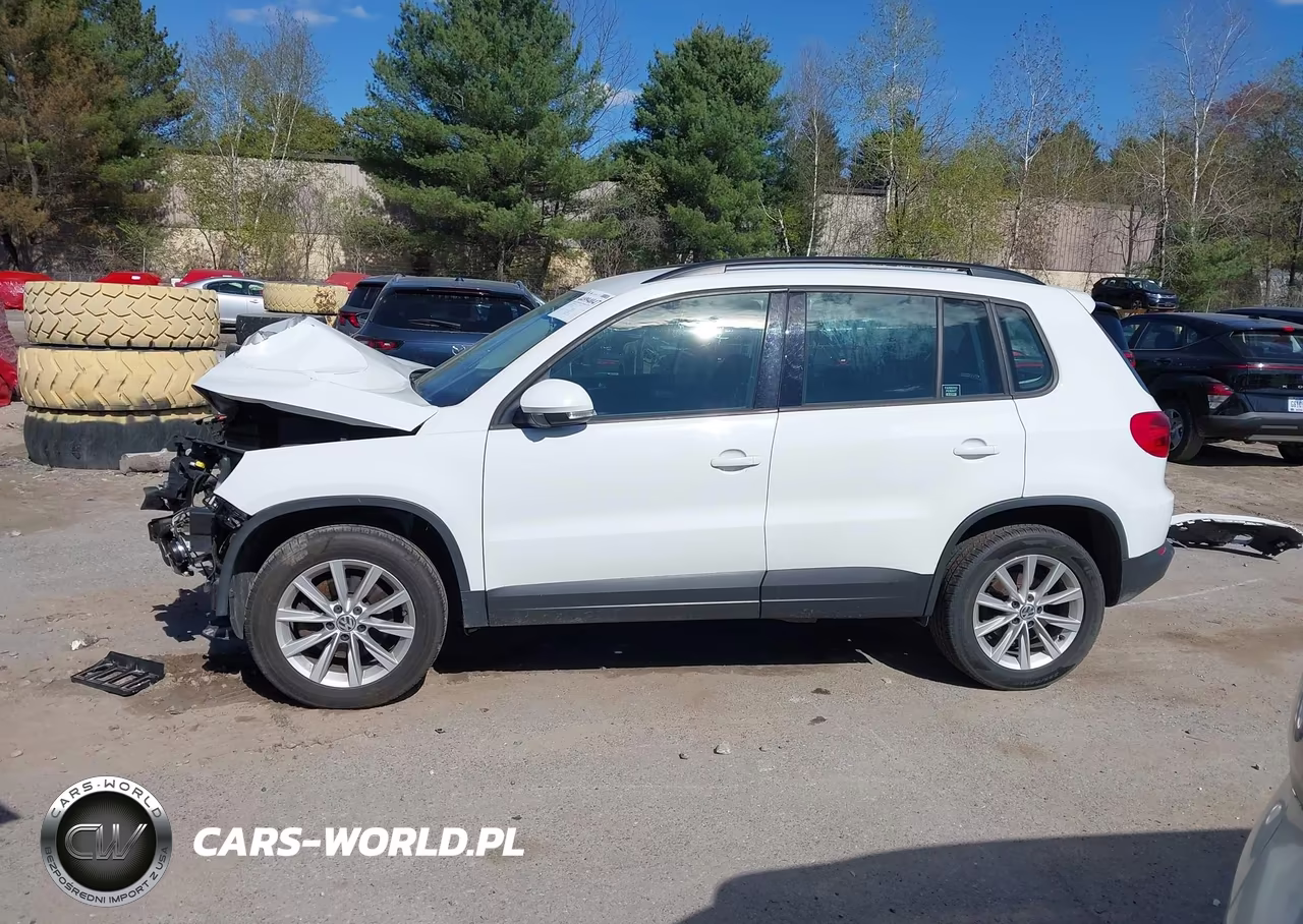 2017 Volkswagen Tiguan 2.0T-2.0T S VIN:WVGBV7AXXHK043075 - 14