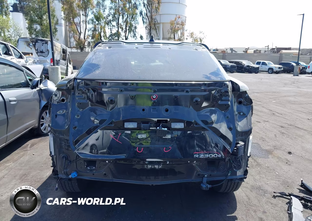 2025 Lexus Rz 300E Premium VIN:JTJABABB1SA009481 - 17