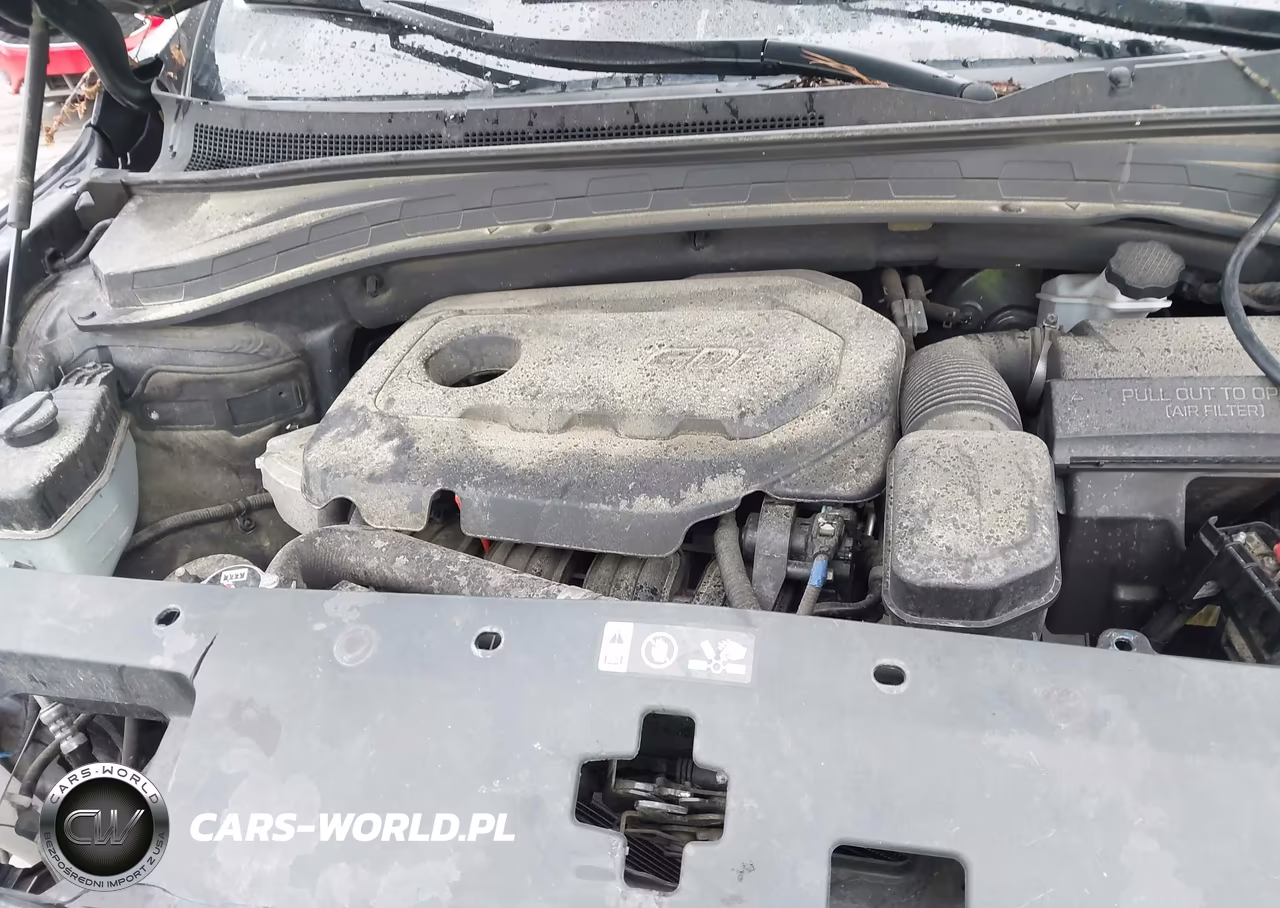 2020 Hyundai Santa Fe Se VIN:5NMS2CAD7LH258266 - 10