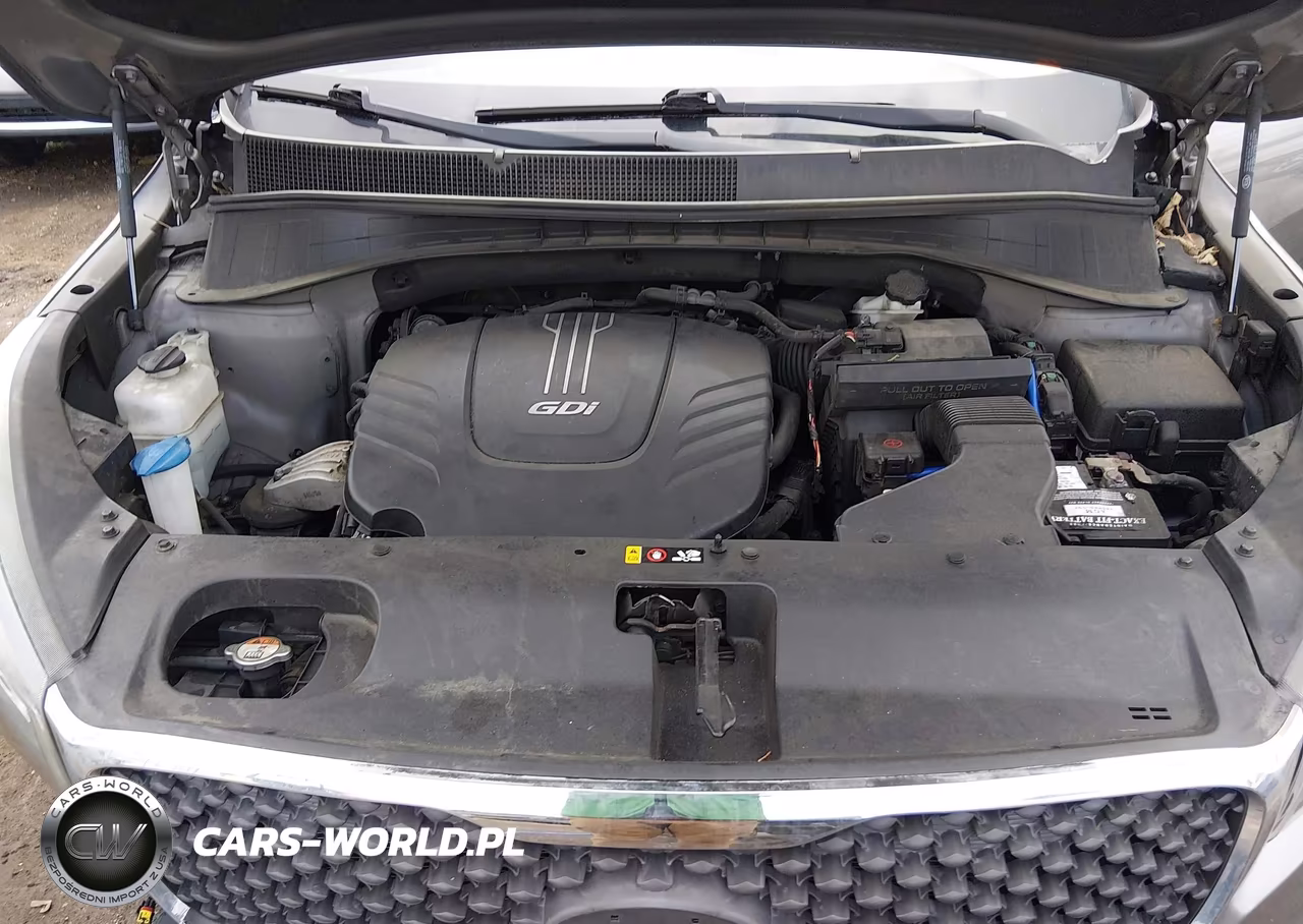 2017 Kia Sorento 3.3L Lx VIN:5XYPGDA55HG249685 - 10