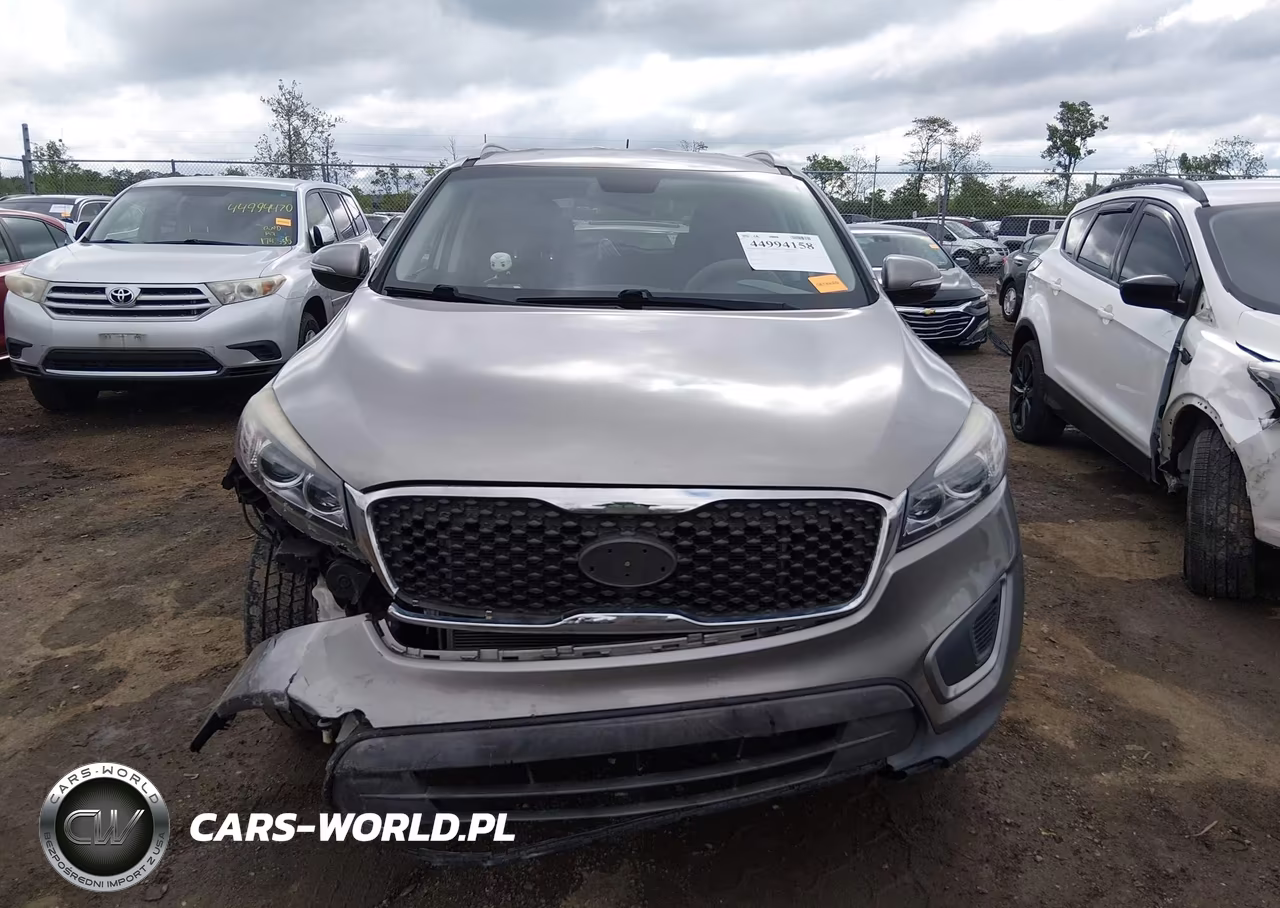 2017 Kia Sorento 3.3L Lx VIN:5XYPGDA55HG249685 - 13