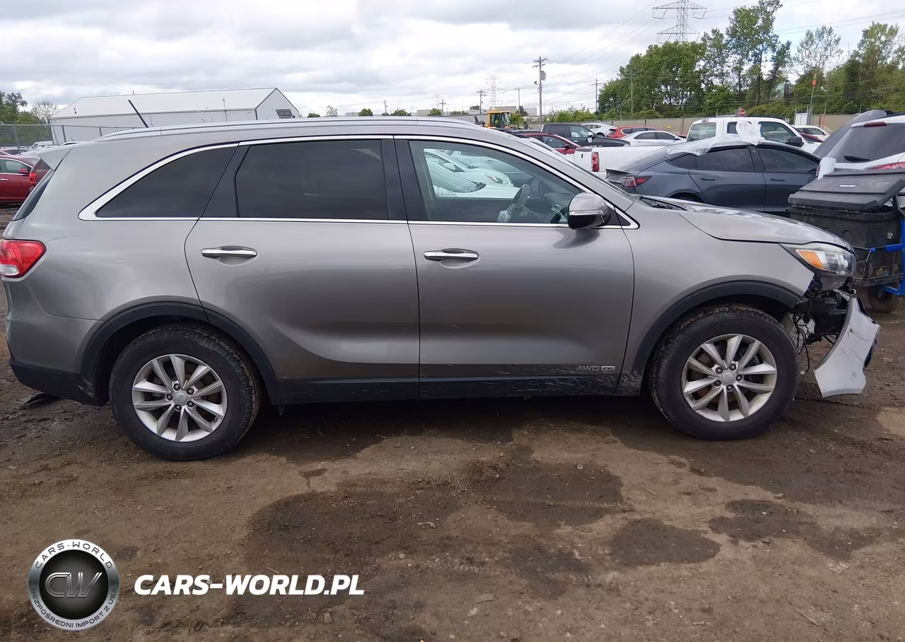 2017 Kia Sorento 3.3L Lx VIN:5XYPGDA55HG249685 - 14