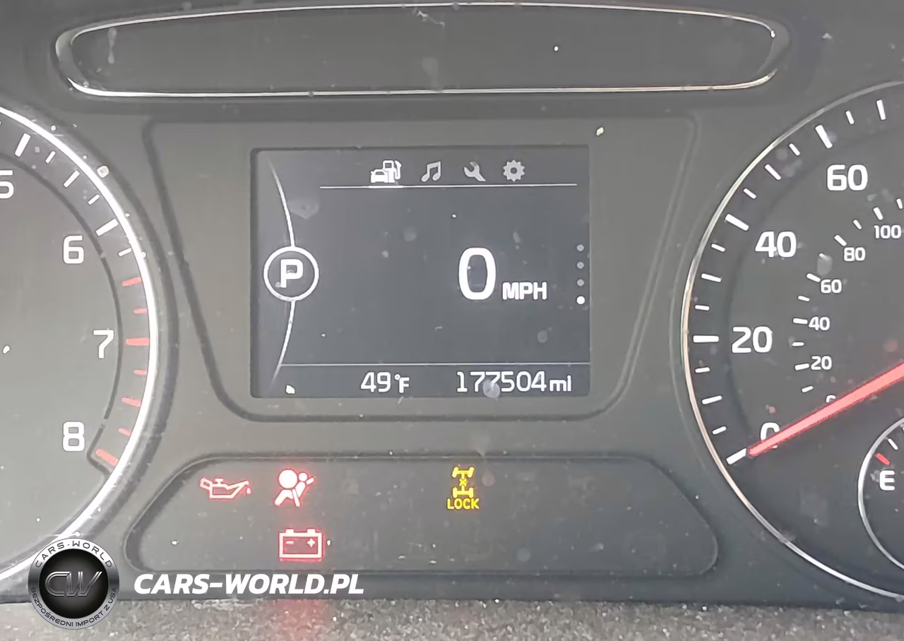 2017 Kia Sorento 3.3L Lx VIN:5XYPGDA55HG249685 - 16