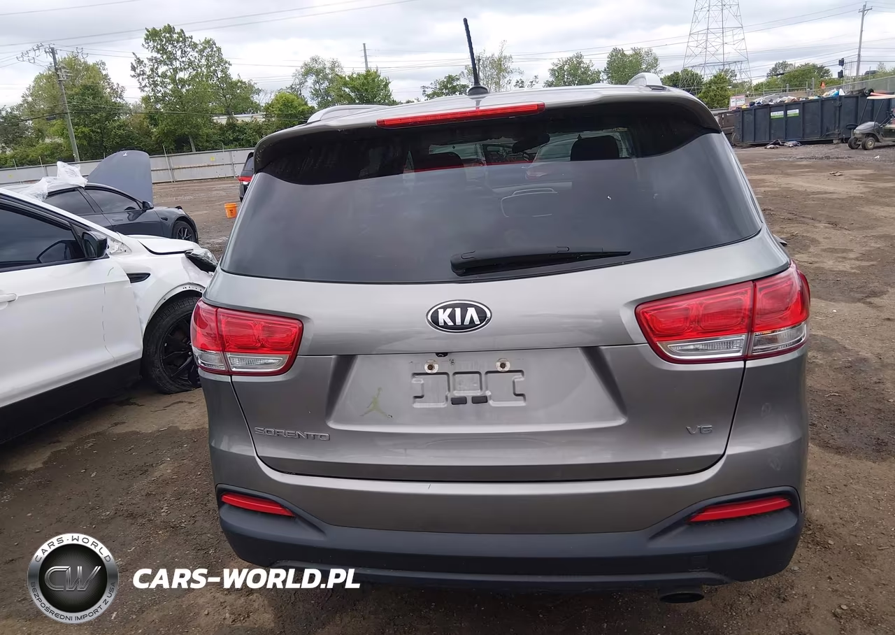 2017 Kia Sorento 3.3L Lx VIN:5XYPGDA55HG249685 - 17