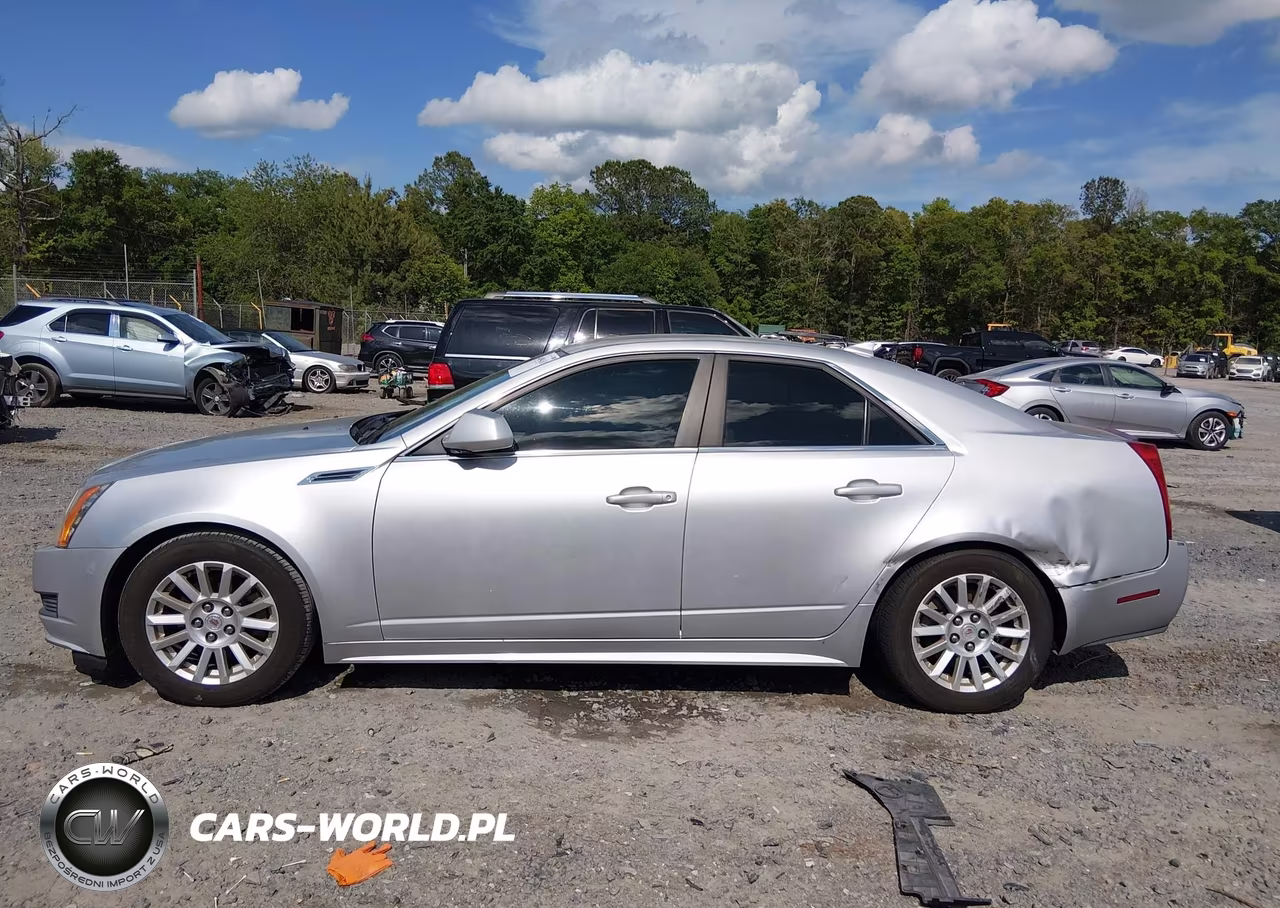 2010 Cadillac Cts Luxury VIN:1G6DE5EG4A0104274 - 13