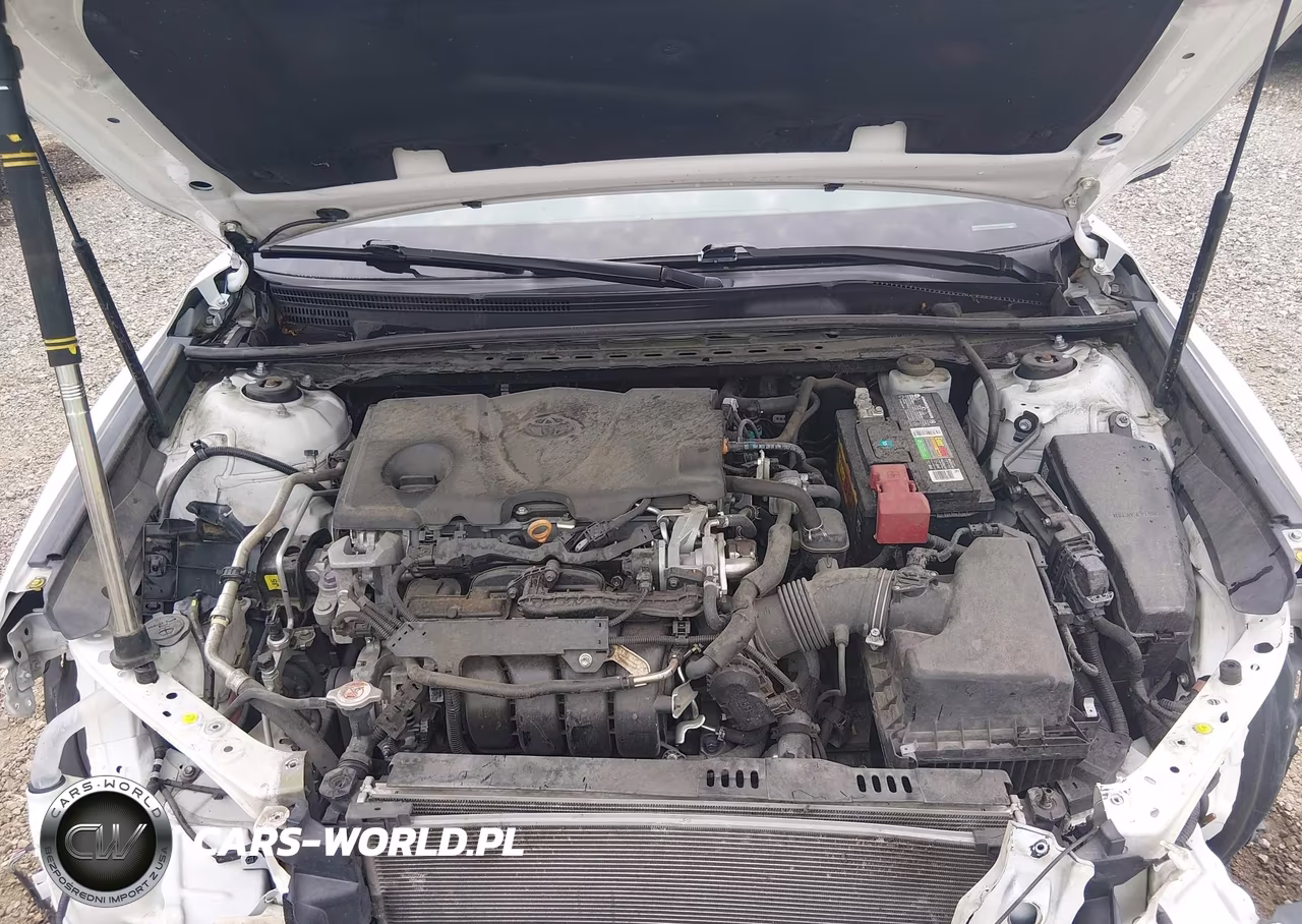 2019 Toyota Camry Le VIN:4T1B11HK2KU856280 - 10