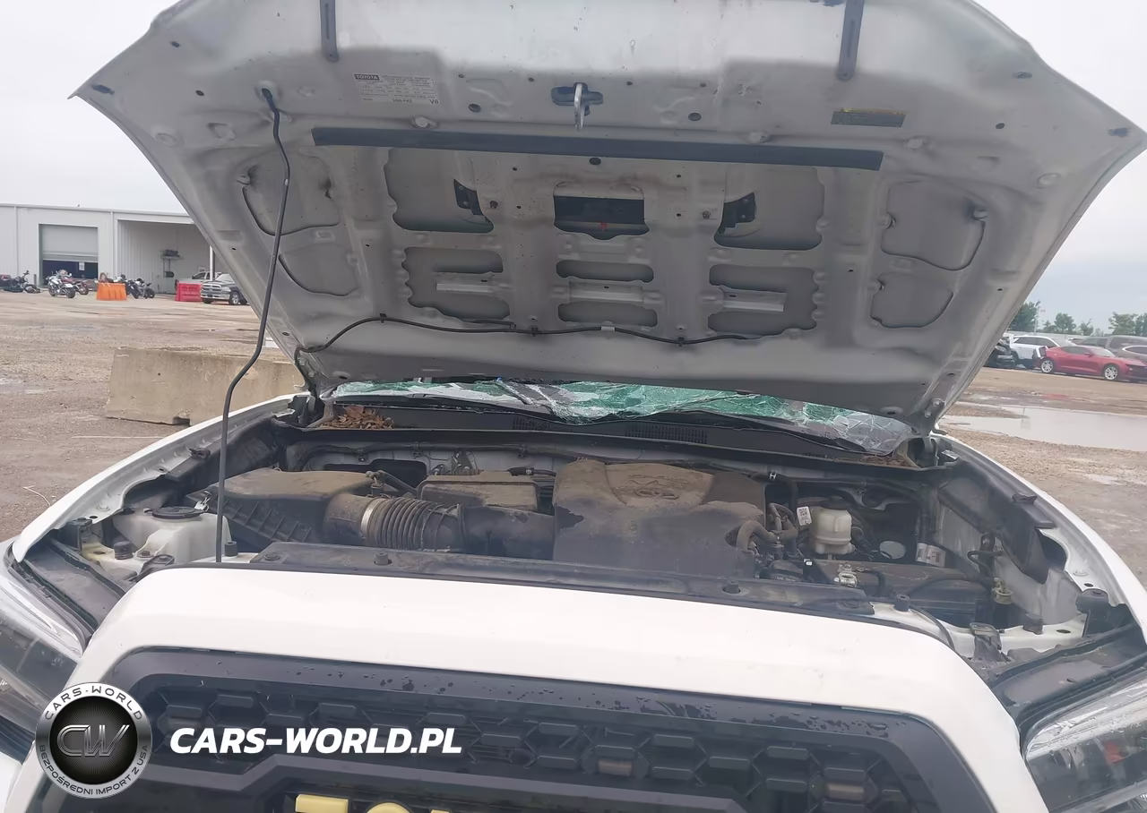 2023 Toyota Tacoma Trd Sport VIN:3TYCZ5AN3PT163845 - 10