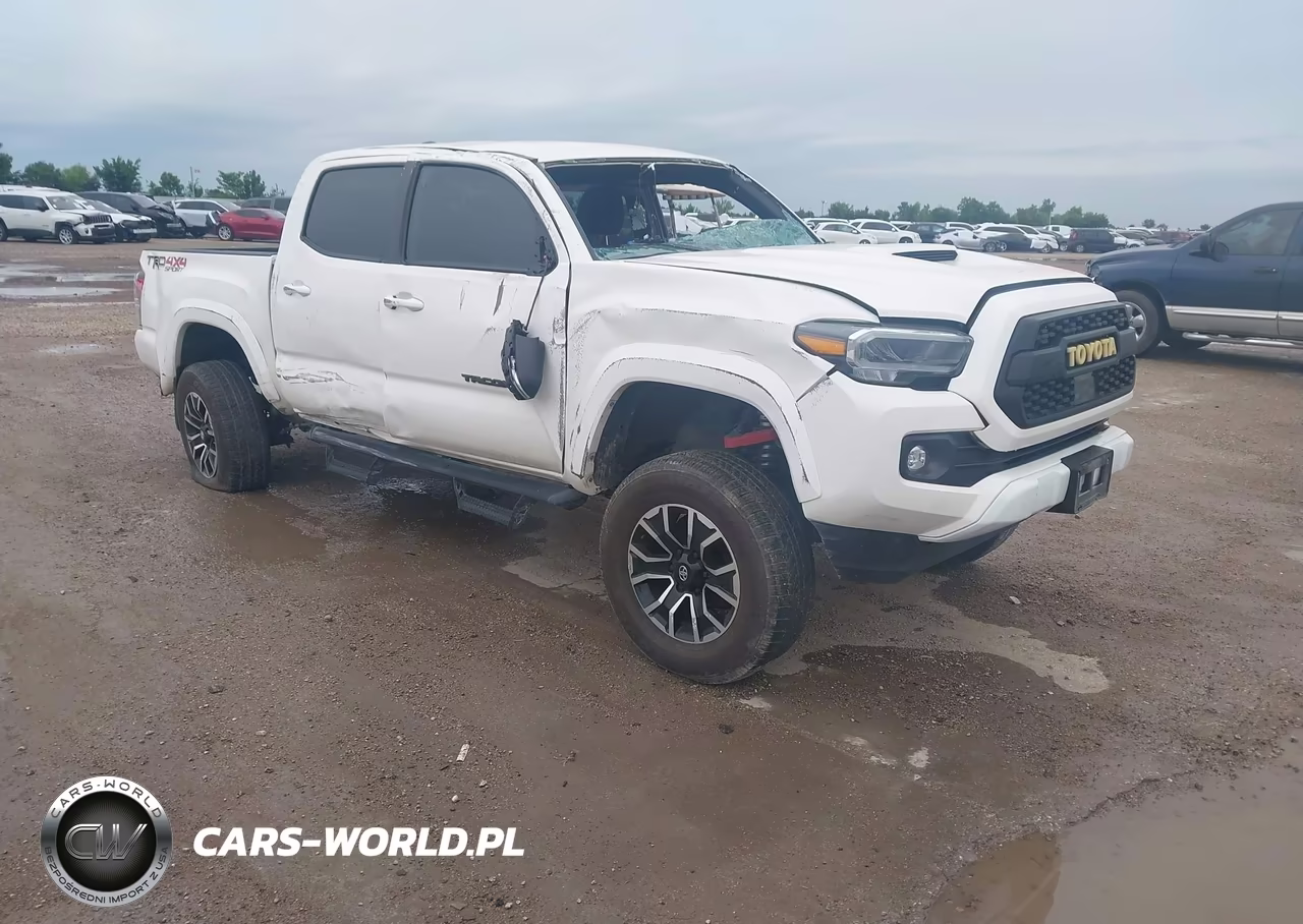 2023 Toyota Tacoma Trd Sport VIN:3TYCZ5AN3PT163845 - 6