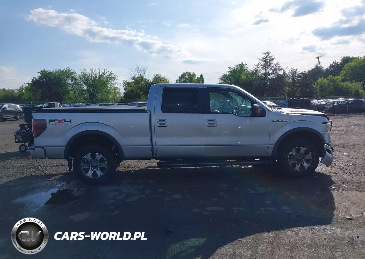 2011 Ford F-150 Fx4 VIN:1FTFW1EF3BKE11847 - 13