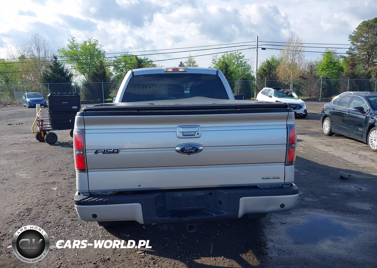 2011 Ford F-150 Fx4 VIN:1FTFW1EF3BKE11847 - 16