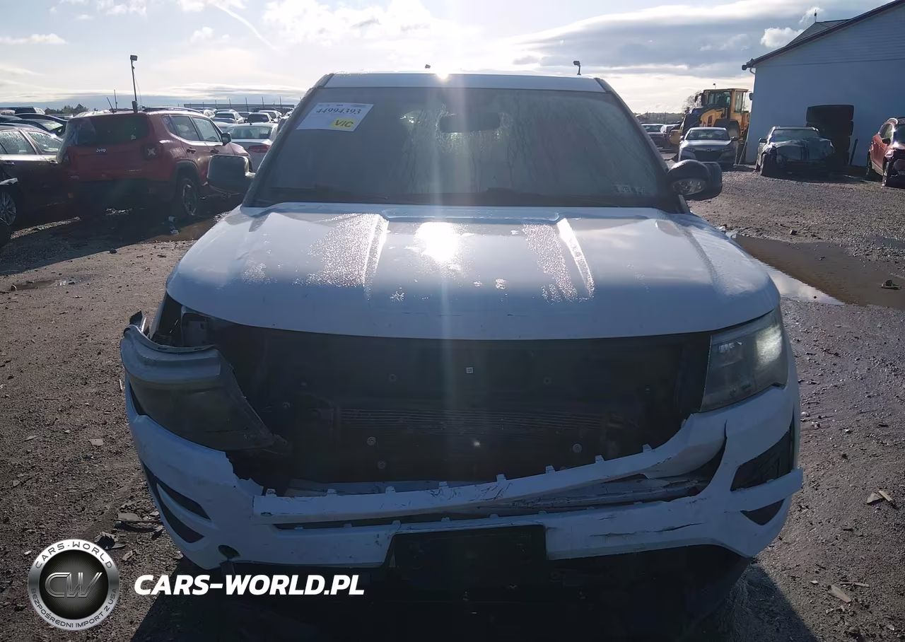 2019 Ford Police Interceptor Utility VIN:1FM5K8AR0KGB23850 - 12