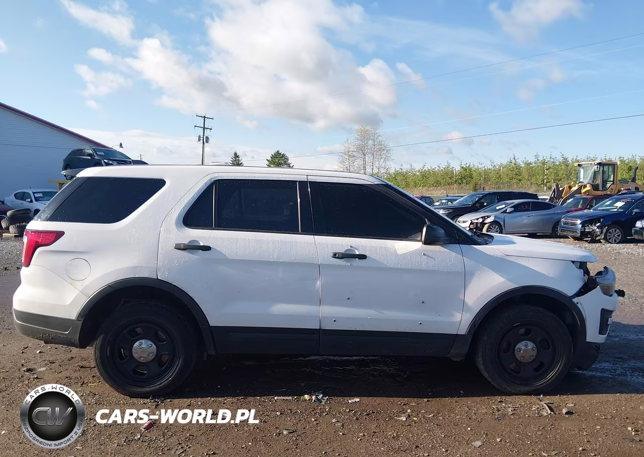 2019 Ford Police Interceptor Utility VIN:1FM5K8AR0KGB23850 - 13