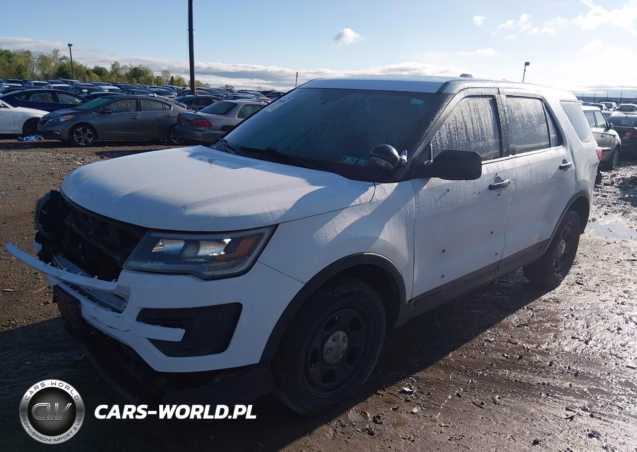 2019 Ford Police Interceptor Utility VIN:1FM5K8AR0KGB23850 - 2