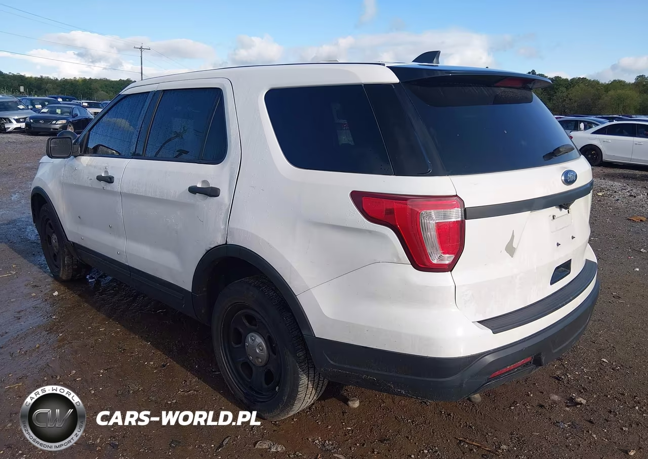 2019 Ford Police Interceptor Utility VIN:1FM5K8AR0KGB23850 - 3