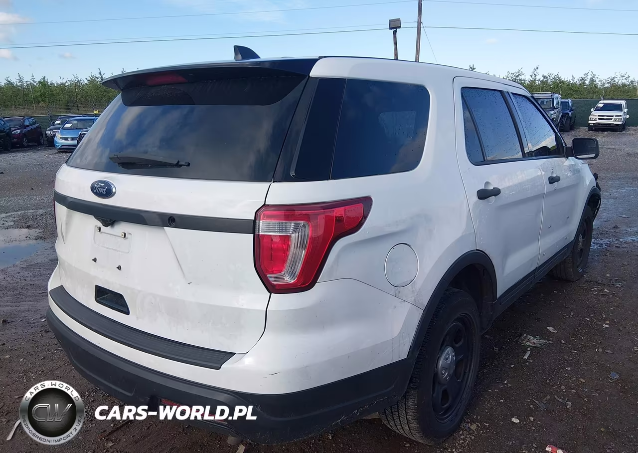 2019 Ford Police Interceptor Utility VIN:1FM5K8AR0KGB23850 - 4