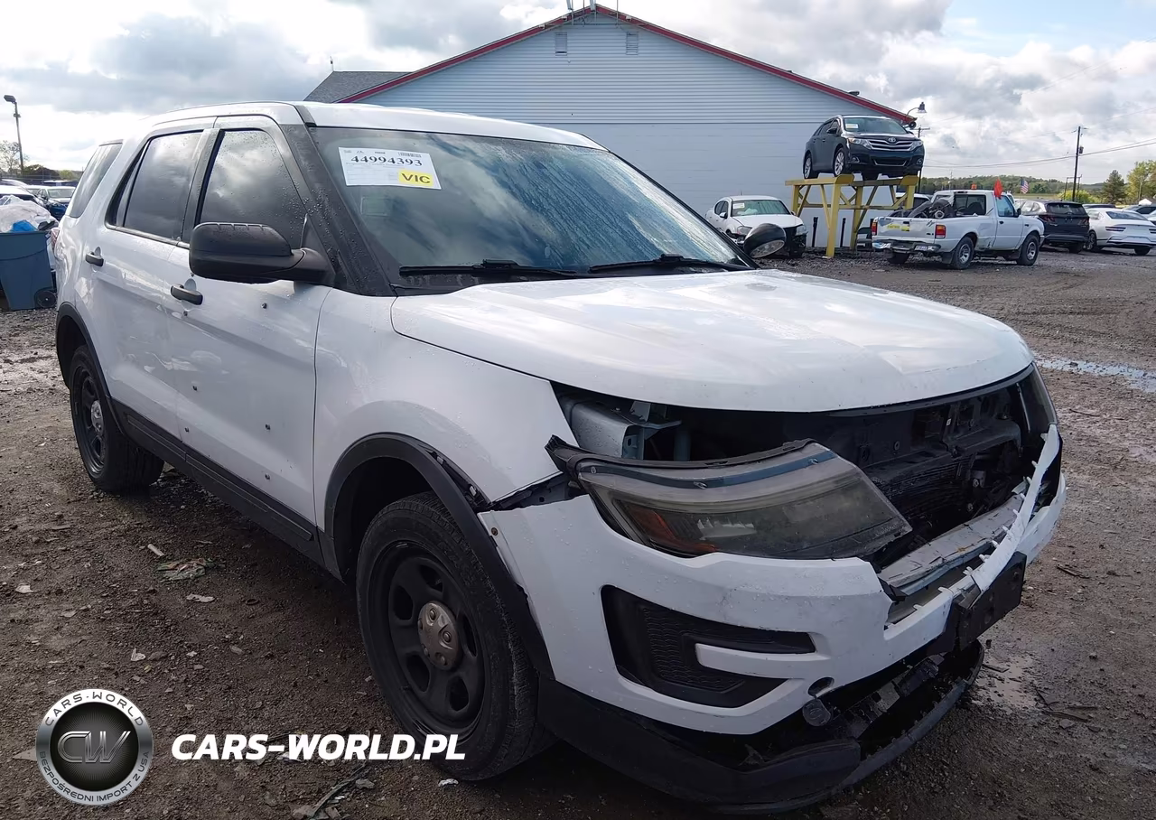 2019 Ford Police Interceptor Utility VIN:1FM5K8AR0KGB23850 - 6