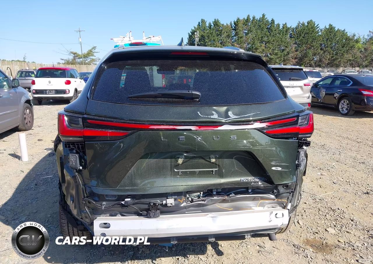 2025 Lexus Nx 350H Luxury VIN:2T2HKCEZ3SC039188 - 17