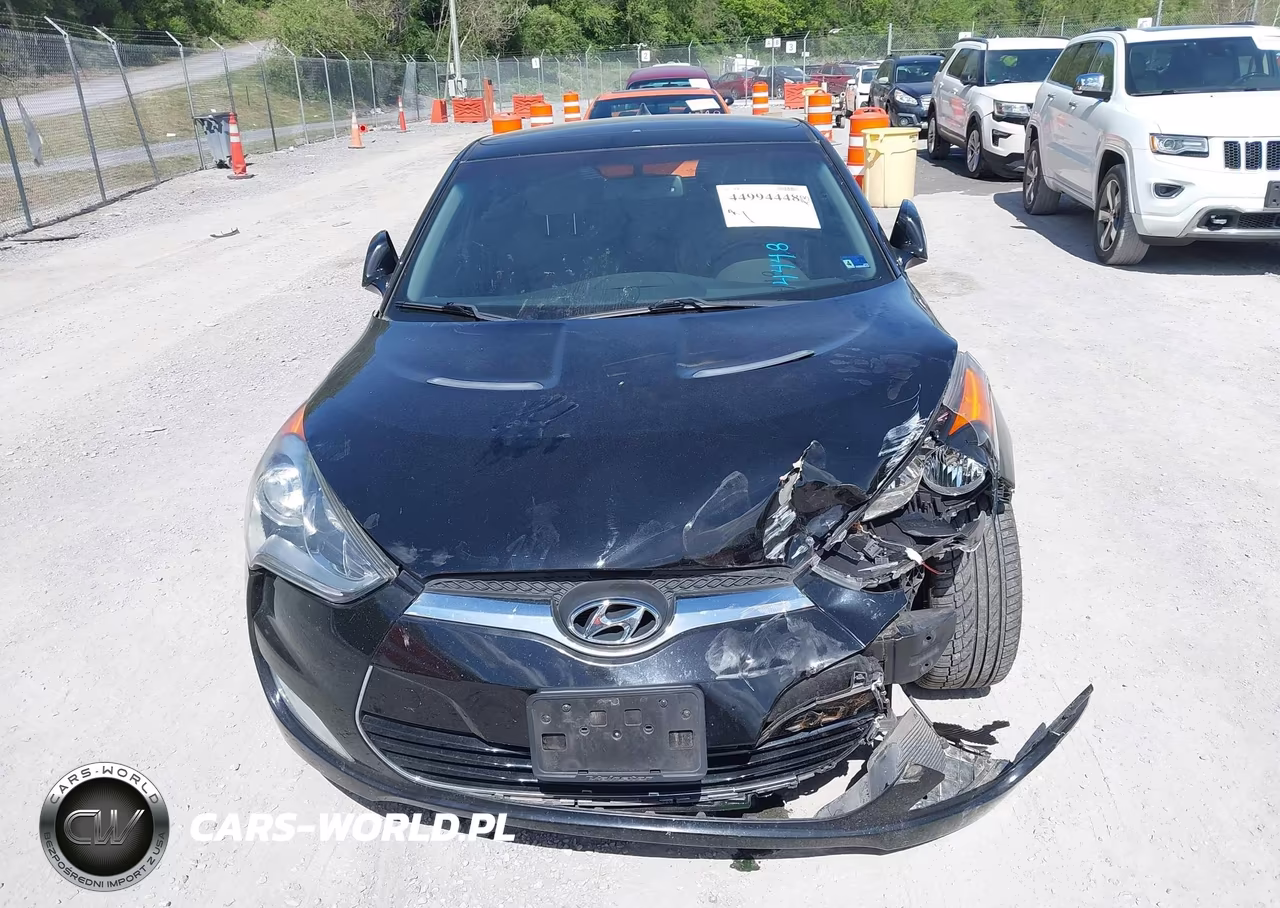 2013 Hyundai Veloster Base W-Gray VIN:KMHTC6AD6DU139326 - 12