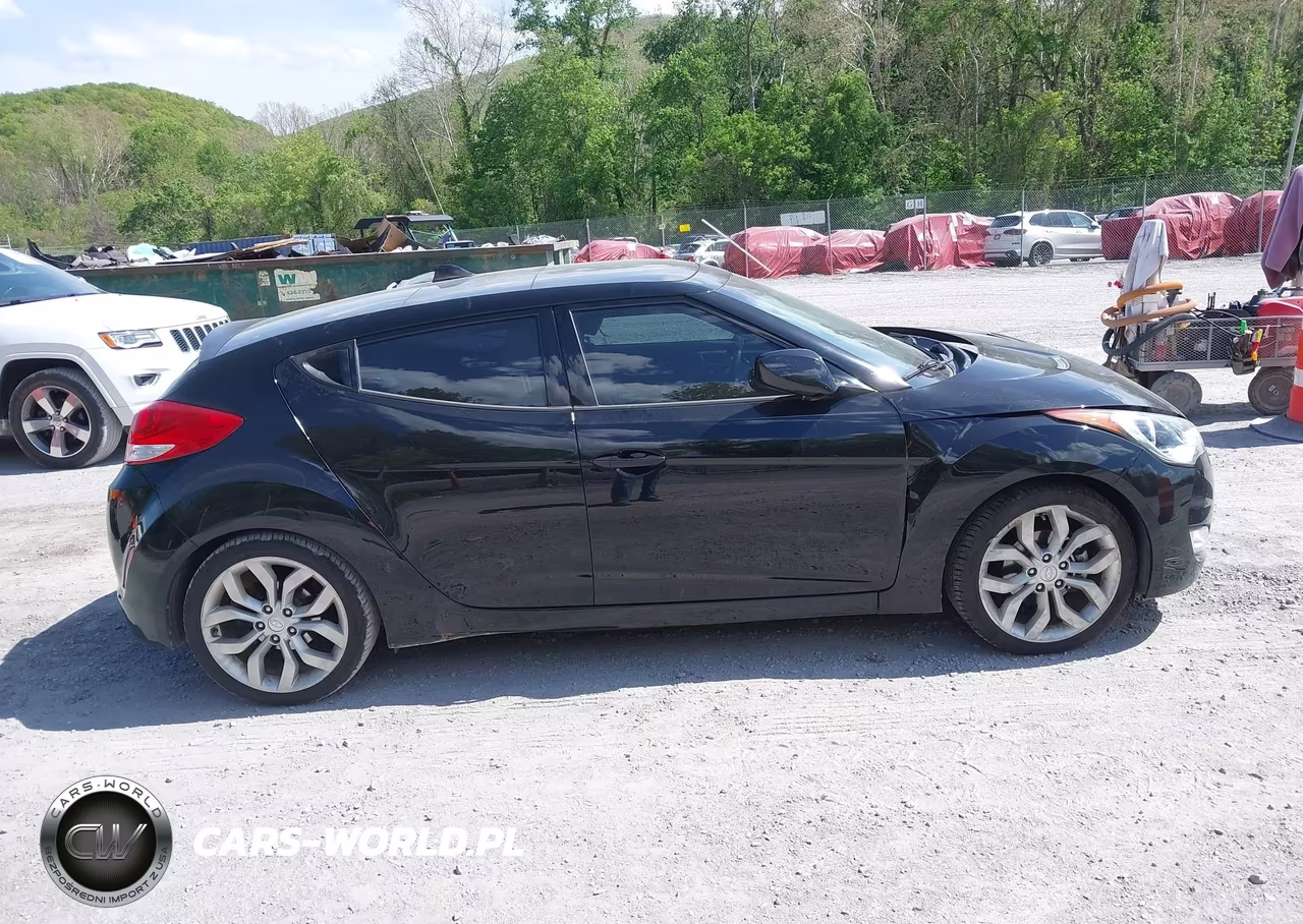 2013 Hyundai Veloster Base W-Gray VIN:KMHTC6AD6DU139326 - 13